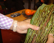 The qat is opened up from its banana leaf wrap