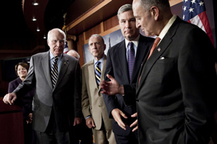 Democratic supporters of Elena Kagan