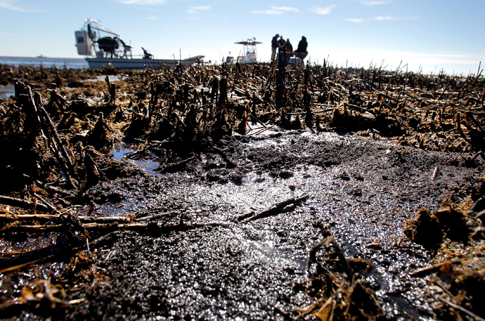 Months After BP Oil Spill, Gulf Coast Still Suffering Effects