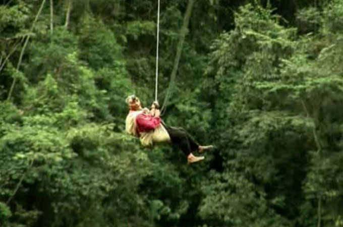risking it all - bolivia coca farmers