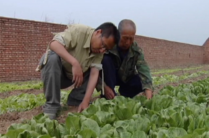 china food scam