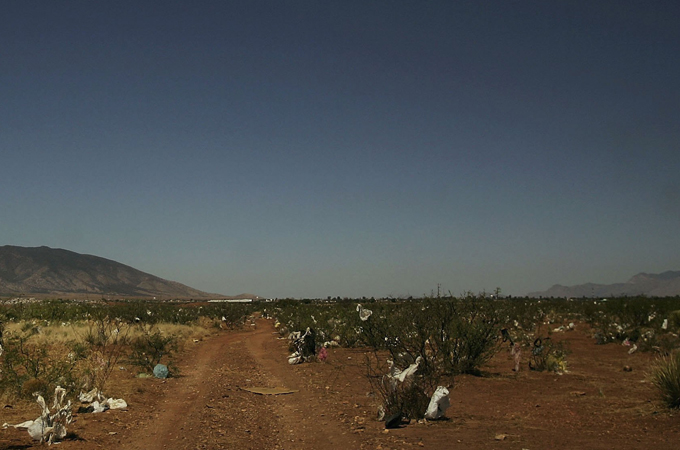 Mexico-US border in the Sonora desert in Arizona