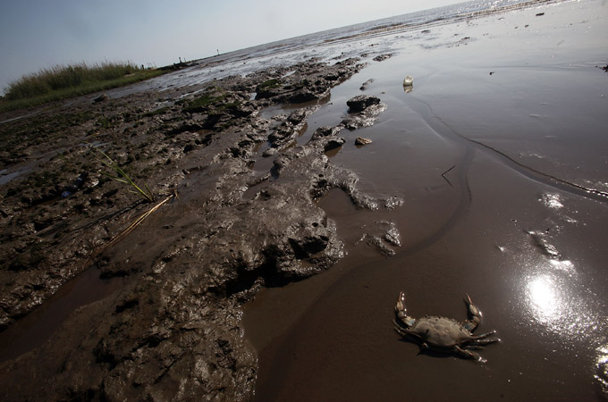 BP oil spill