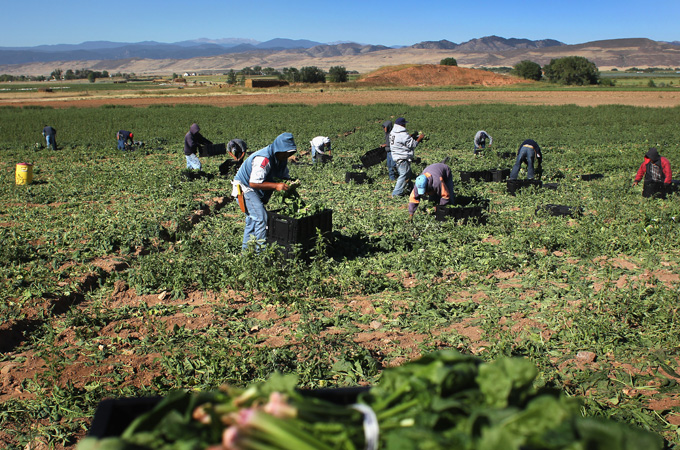 slavery: a 21st century evil - food chain slaves