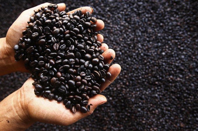 Slavery - Not for Sale feature