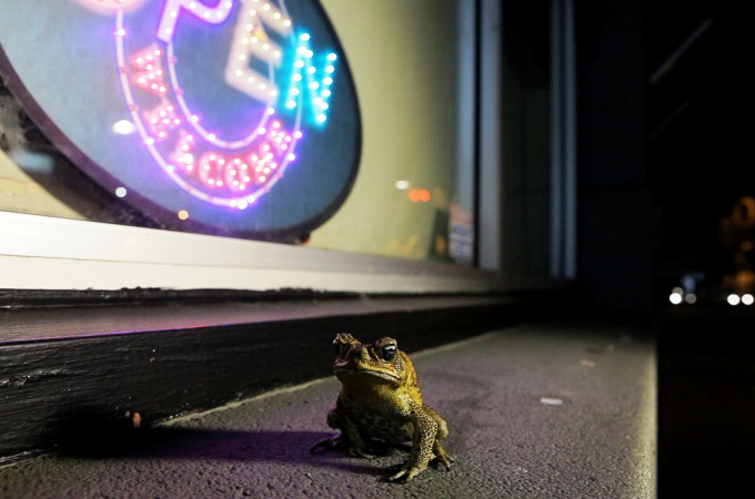 earthrise - series two, episode three