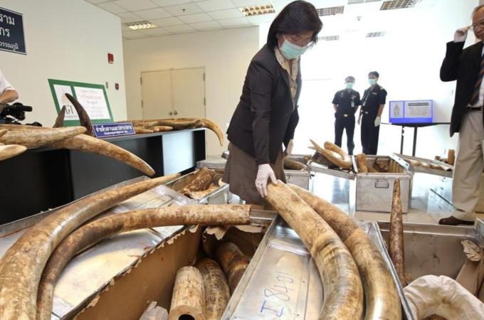 Thailand host CITES meeting