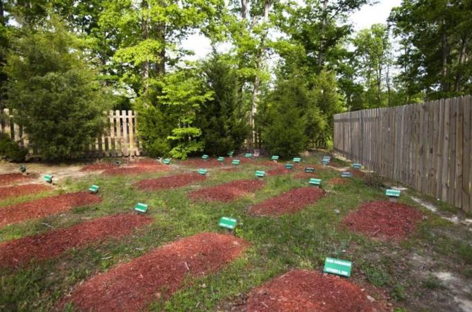 The remains of suspected Boston Marathon bomber Tamerlan Tsarnaev have been buried at Al Barzakh Cemetery