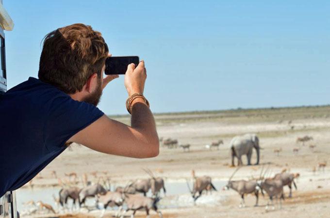 Western tourists will pay to see live elephants, not rotting carcasses [Glen Johnson/Al Jazeera]