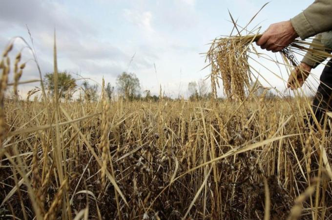 To match Special Report FOOD/