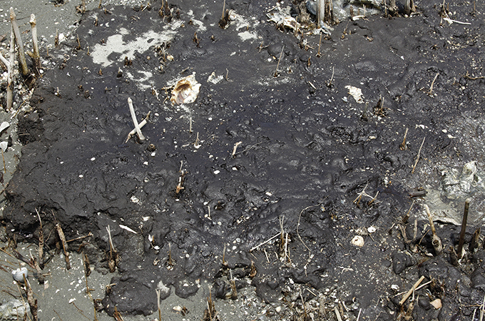 Over three million pounds of oiled material have been found in Louisiana this year [Erika Blumenfeld/Al Jazeera]