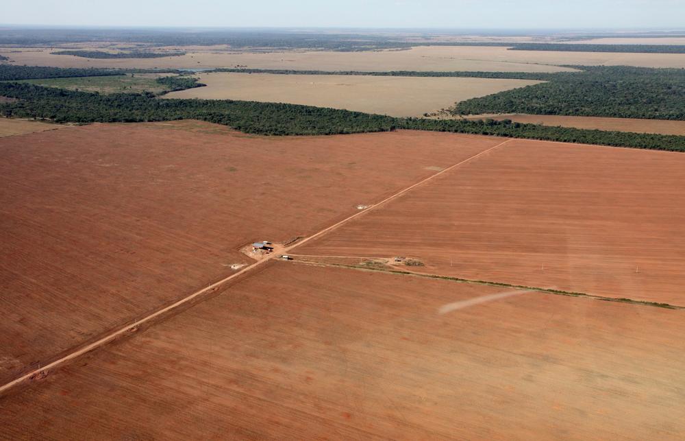 <p>Agriculture in Brazil is booming, with soy production set to surpass that of the US to become the largest in the world.</p>