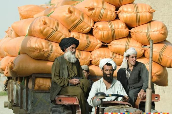 The future of a peaceful Afghanistan is in the hands of the tribes of Afghanistan, argues Ali Seraj [AFP]