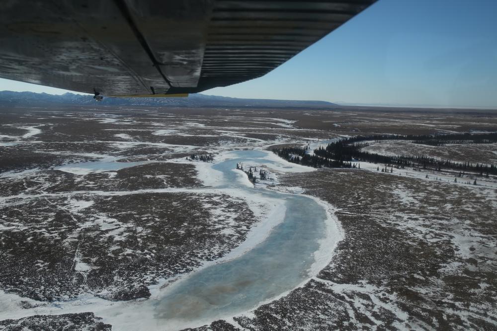 Alaska has seen some of the warmest and driest winter weather in years.