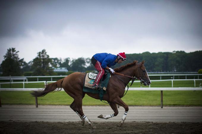 California Chrome is the winner of the 2014 Kentucky Derby and Preakness Stakes [Reuters]