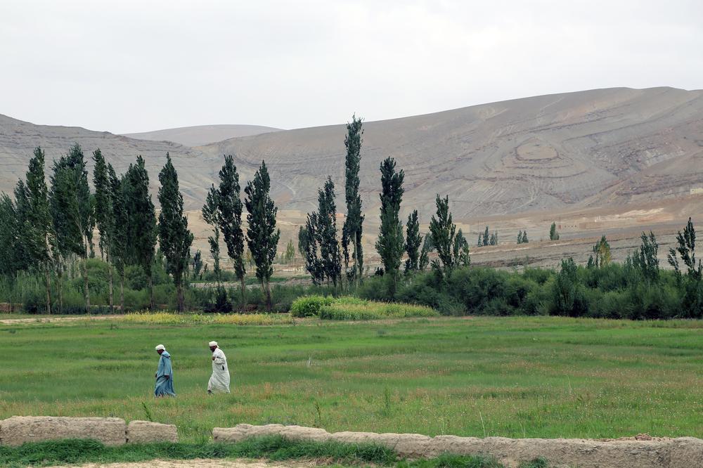 Two men walk across one of the fertile valleys that characterises an otherwise dry mountainous landscape near the festival grounds.