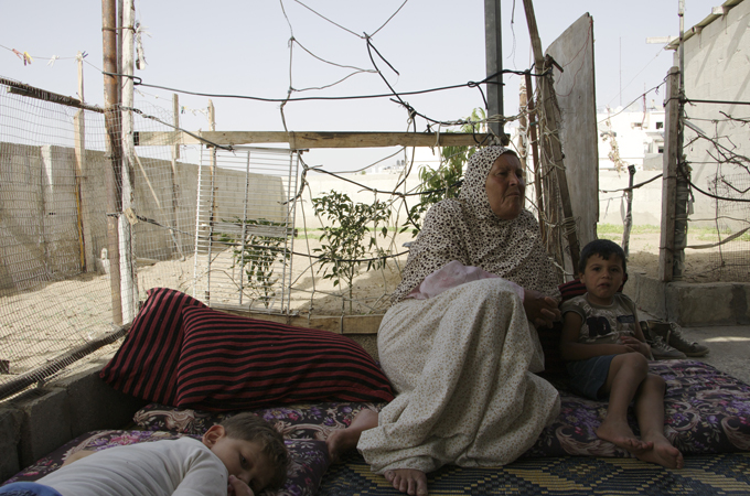 The vegetables grow without soil and without any chemical fertilisers [Ala Qandil/Al Jazeera]