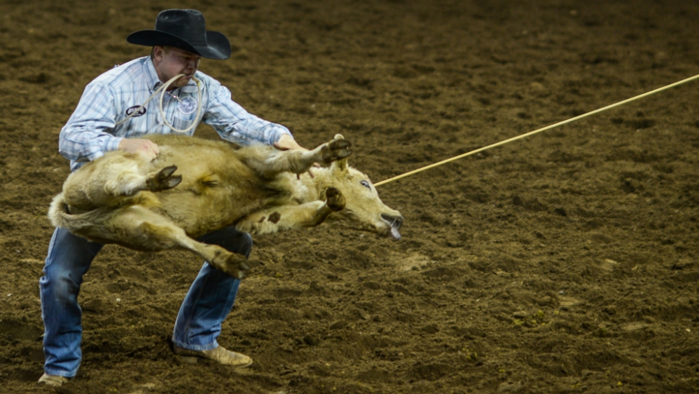 Rodeo