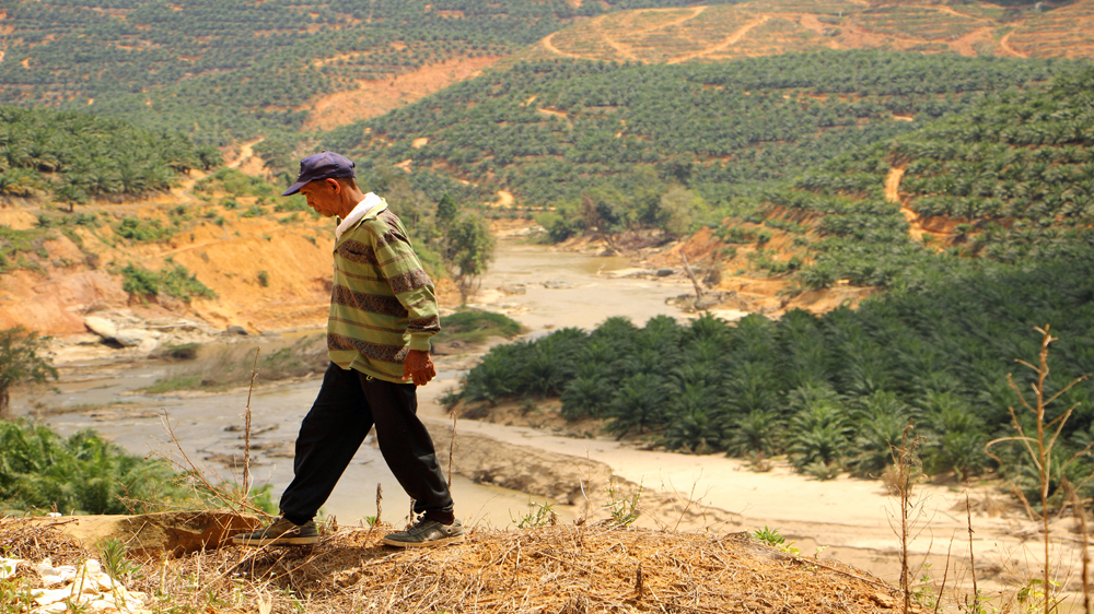 Rivers run dry and food sources are threatened as a result of persistent logging, threatening the way of life for the indigenous people living in Malaysia's forests [Jarni Blakkarly/Al Jazeera] 