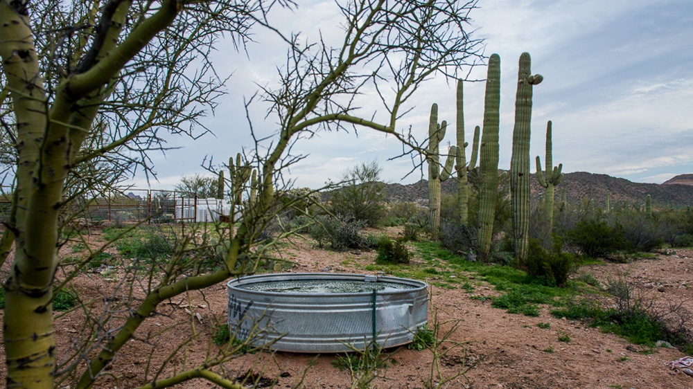 On their walks of up to 200km through the desert, migrants often rely on water tanks for cattle to survive [Felix Gaedtke/Al Jazeera] 