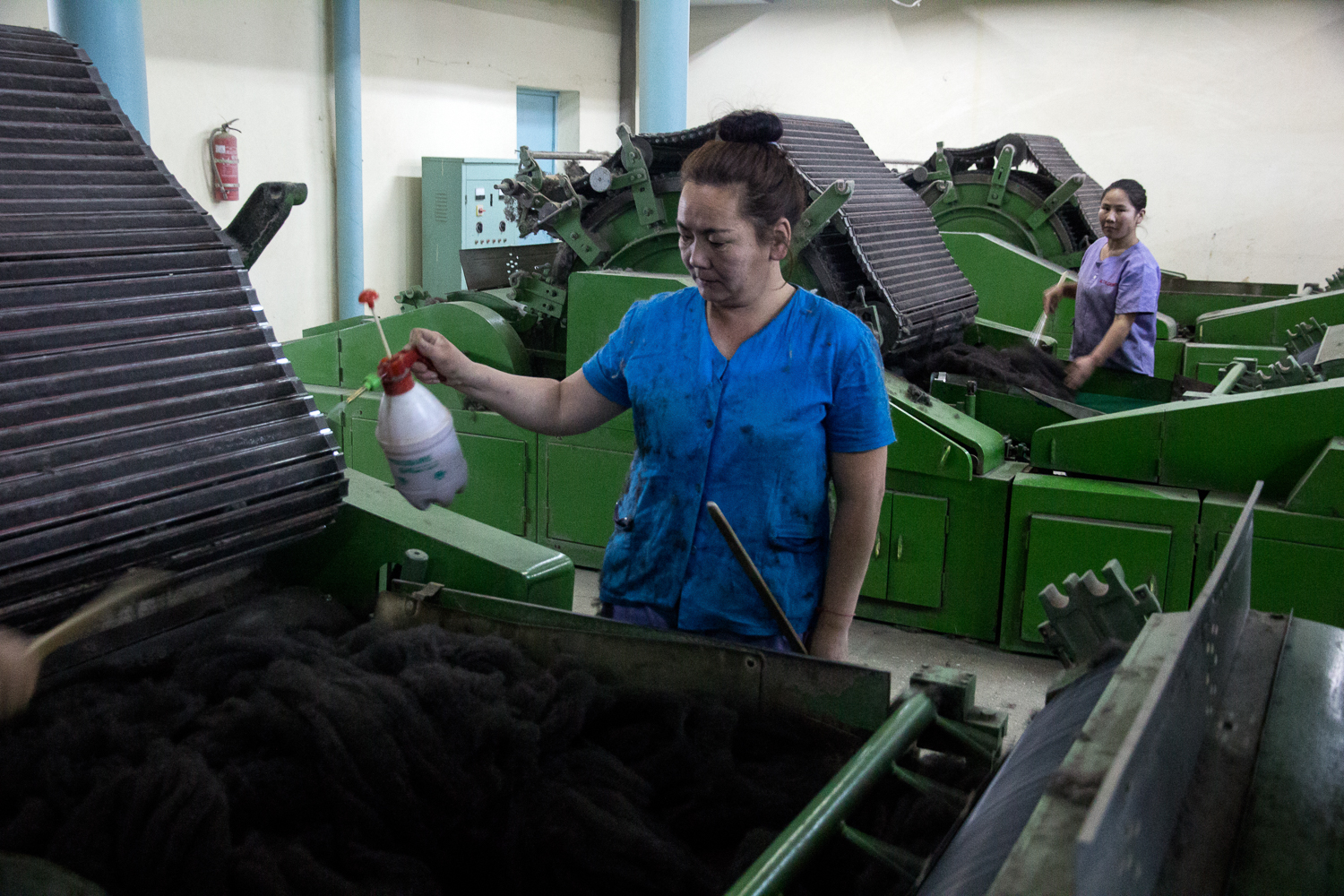 Cashmere Mongolia