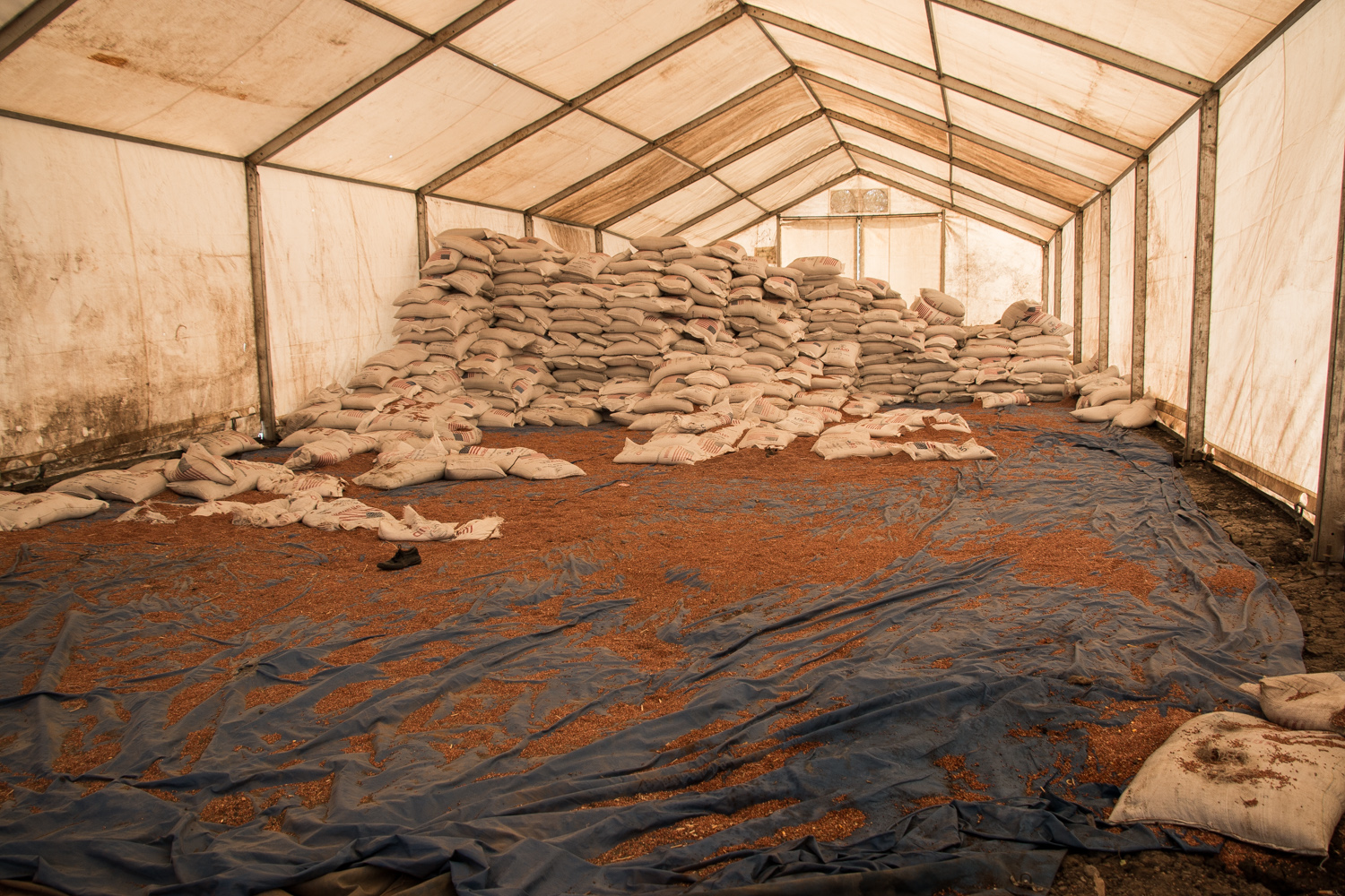 Ashley South Sudan/ DO NOT USE/ RESTRICTED