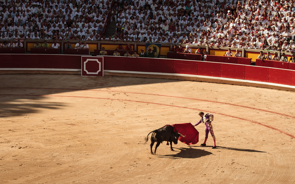 Bull run/ DO NOT USE/ RESTRICTED