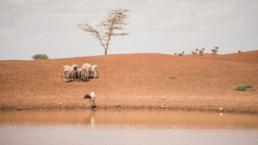 Somaliland drought