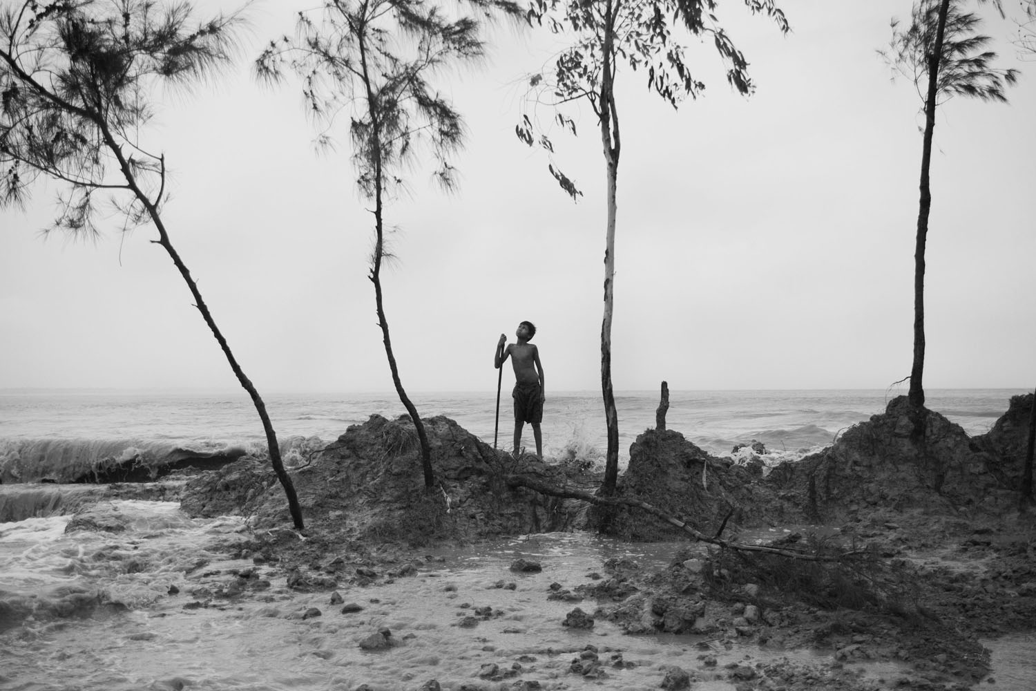 The Hungry Tide/ DO NOT USE/ RESTRICTED