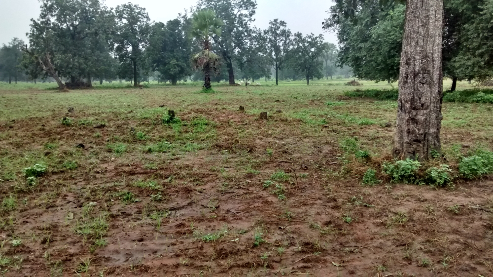 Much of Bellamnendra was razed during fighting between Maoists and a government-backed militia [Raksha Kumar/Al Jazeera]