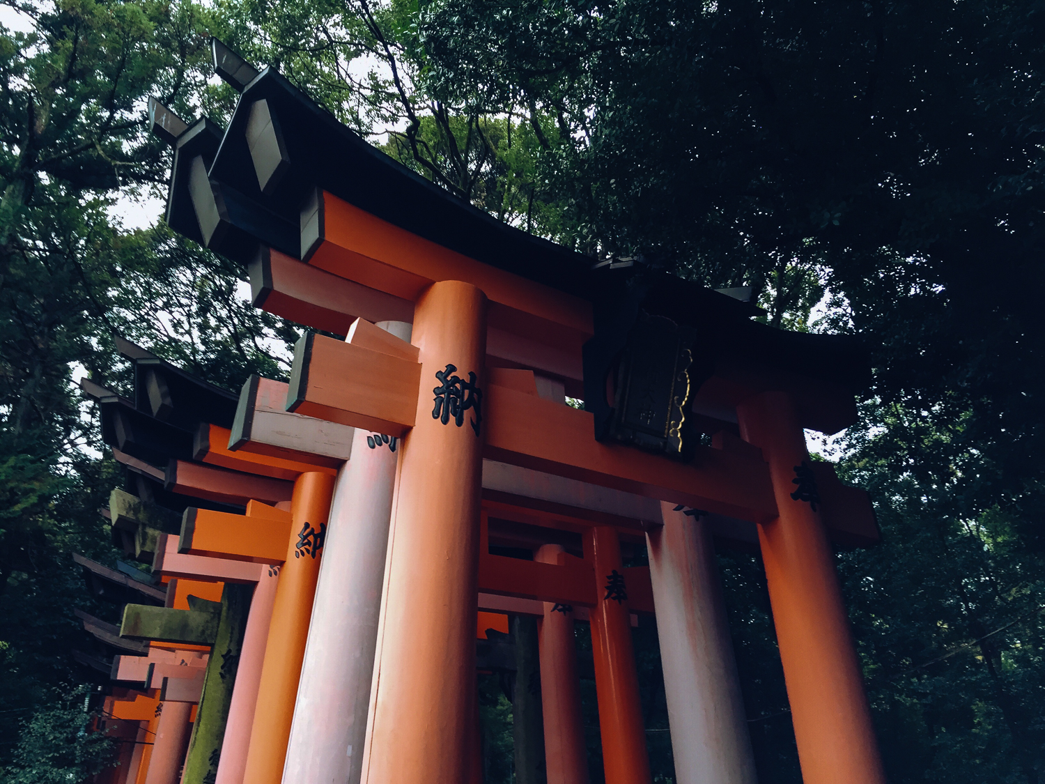 Fushimi Inari-Taisha shrine