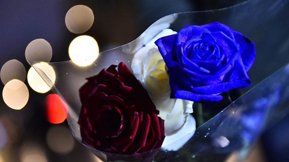 Roses in the colours of the French national flag at Republic Square in Paris [AFP]