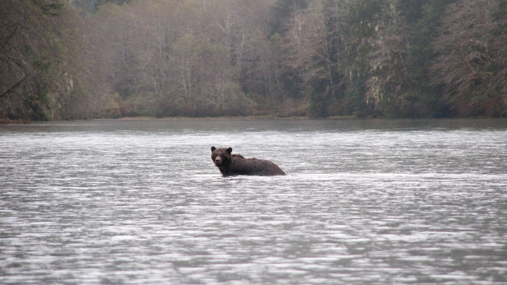 Some speculate the government fears by ending the trophy hunt it would trigger a backlash from important electoral districts [John Zada/Al Jazeera]