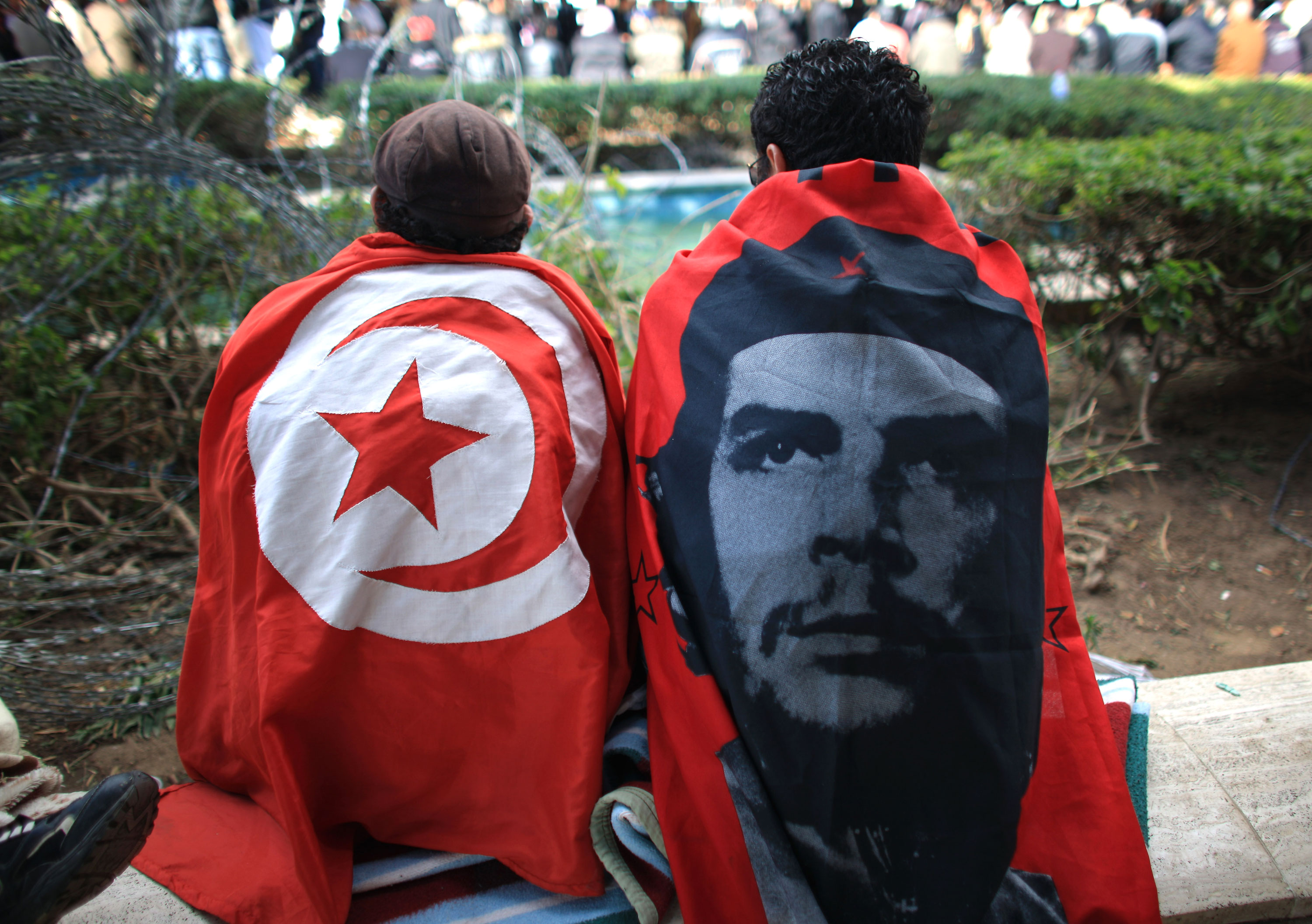 Tunisian Revolution