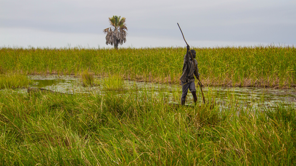 
A man paddles his canoe through the Sudd Swamp towards the islands that are home to internally displaced people in Panjiyar county [Caitlin McGee/Al Jazeera]
