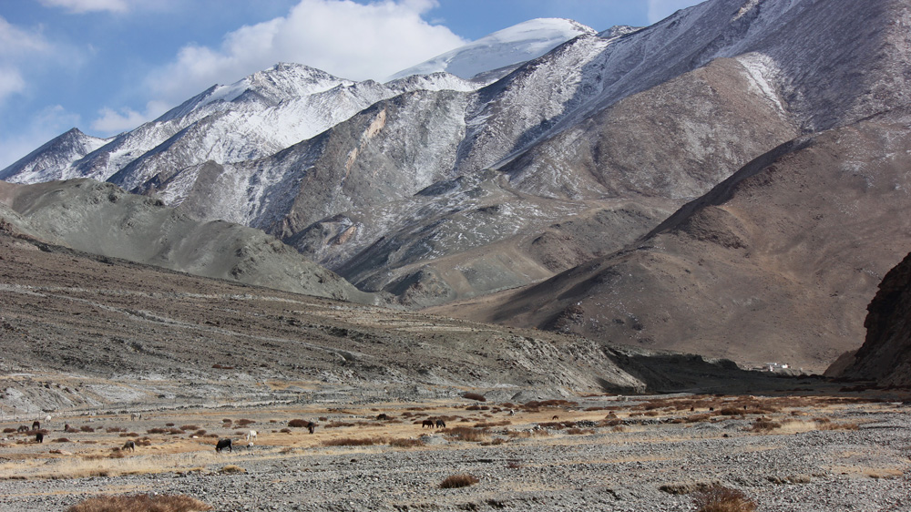 The Changthang region is located on the northwestern plains of the Tibetan plateau in India [Augusta Thomson/Al Jazeera]