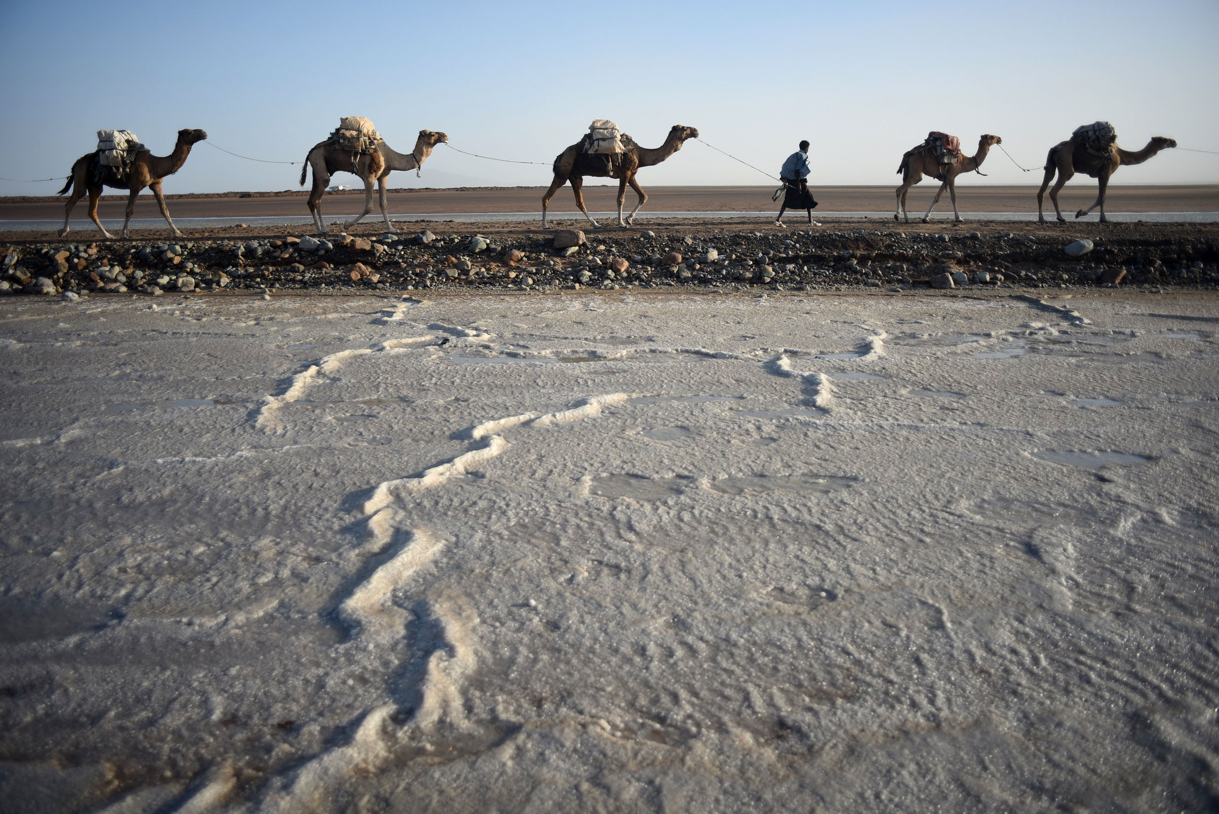 Ethiopian salt mines and camel caravans/Please Do Not Use
