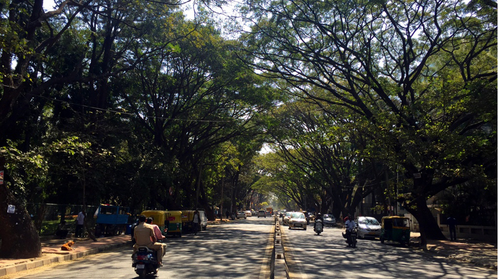Bengaluru's narrow tree-lined roads have become choked with traffic [Prathap Nair/Al Jazeera]