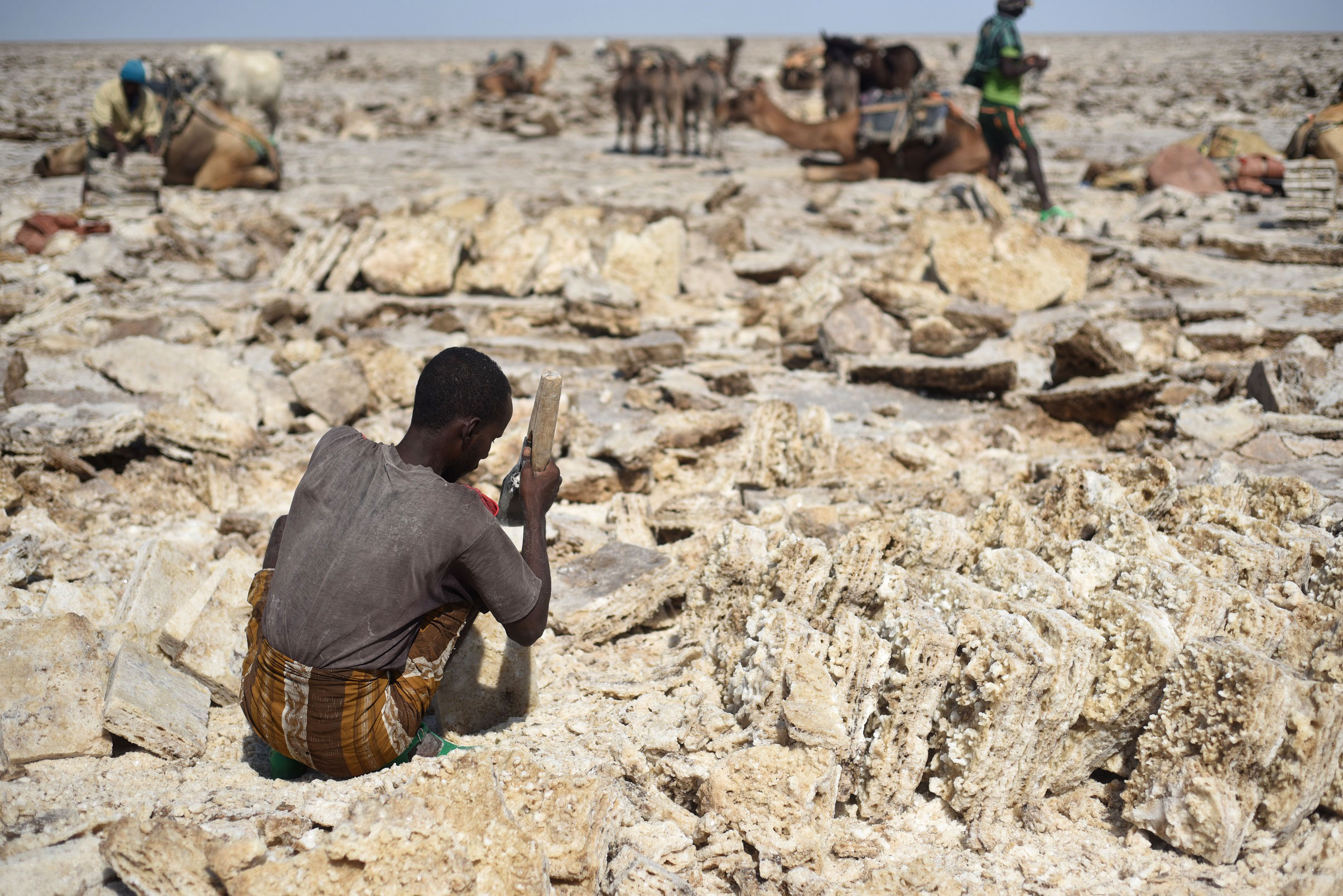 Ethiopian salt mines and camel caravans/Please Do Not Use