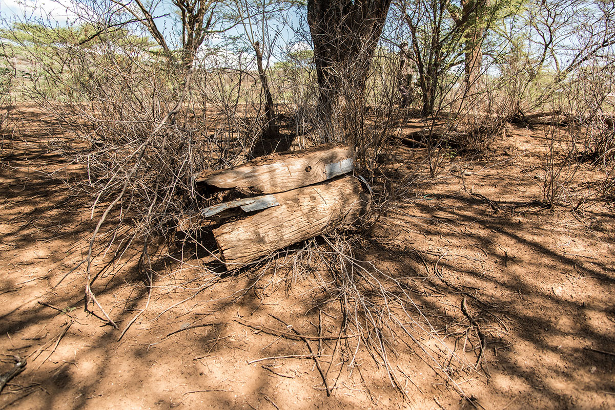 Dripping Gold: On the Hunt for Honey in Kenya/ Please Do Not Use
