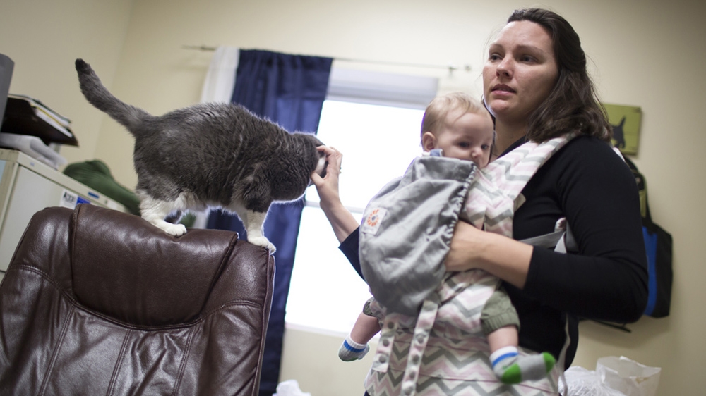 Rebecca Warren with son, Zach, and the office cat, Peanut. Warren,  executive director of the Monroe County Humane Association, brings her Zach to work each day [James Brosher/Al Jazeera] 