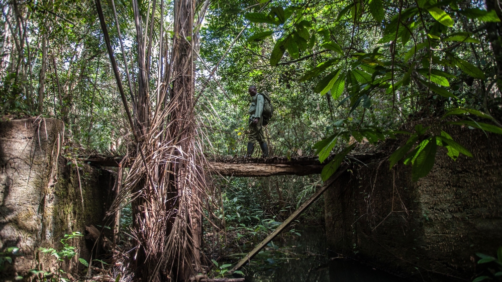 
A former Kamajor fighter patrols the Gola rainforest in Southern Sierra Leone [Aurelie Marrier d'Unienville/Al Jazeera]
