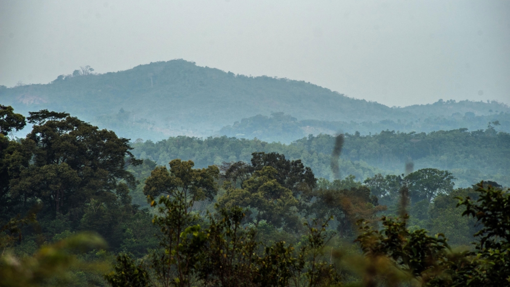 A global biodiversity hotspot, the national park has more than 1,000 plant species, over half of which are endemic, as well as an array of rare animals [ Aurelie Marrier d'Unienville/Al Jazeera]