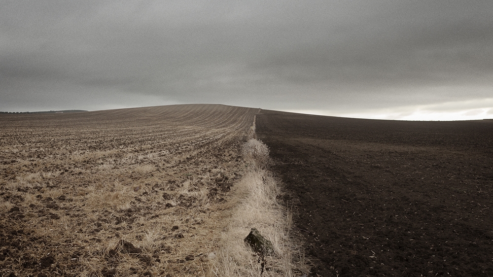 Marinaleda's 'secret' lies in the 1,200 hectares of land just outside the village [Hagar Jobse/Al Jazeera]