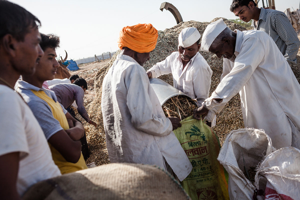 Marathwada Drought/Please Do Not Use