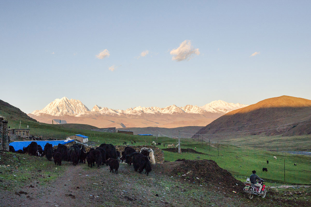 Tagong: On the Road to Tibet/ Please Do Not Use