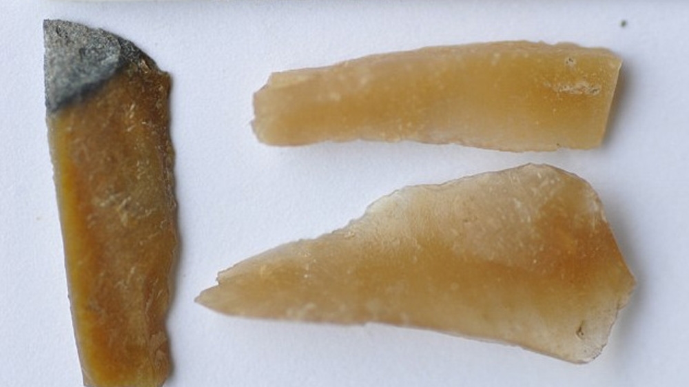 Some of the artefacts found during works to build a stabling yard in Sydney [Tocomwall Cultural Heritage Consultants] 