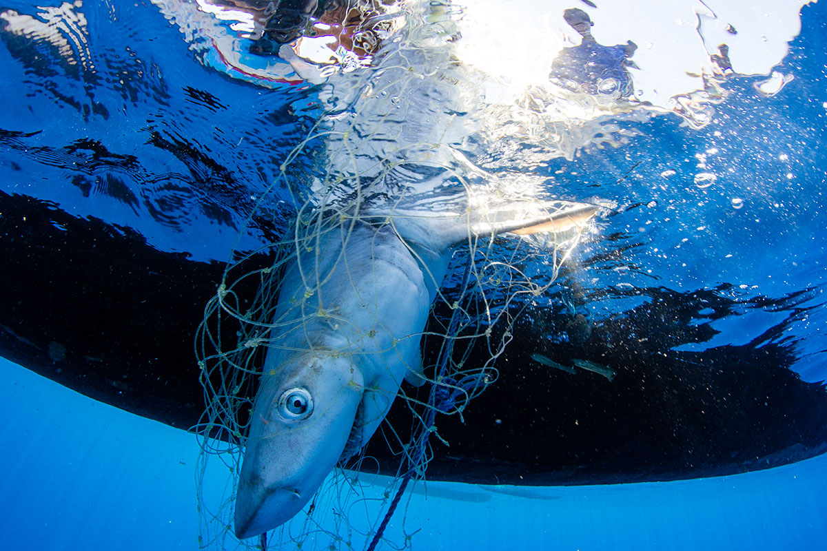 Fishing on the Edge/ Please Do Not Use