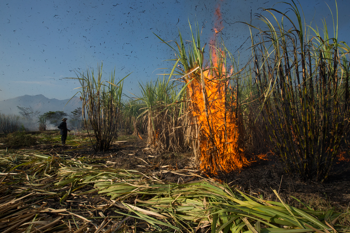 The Cure - El Salvador - pls don''t use
