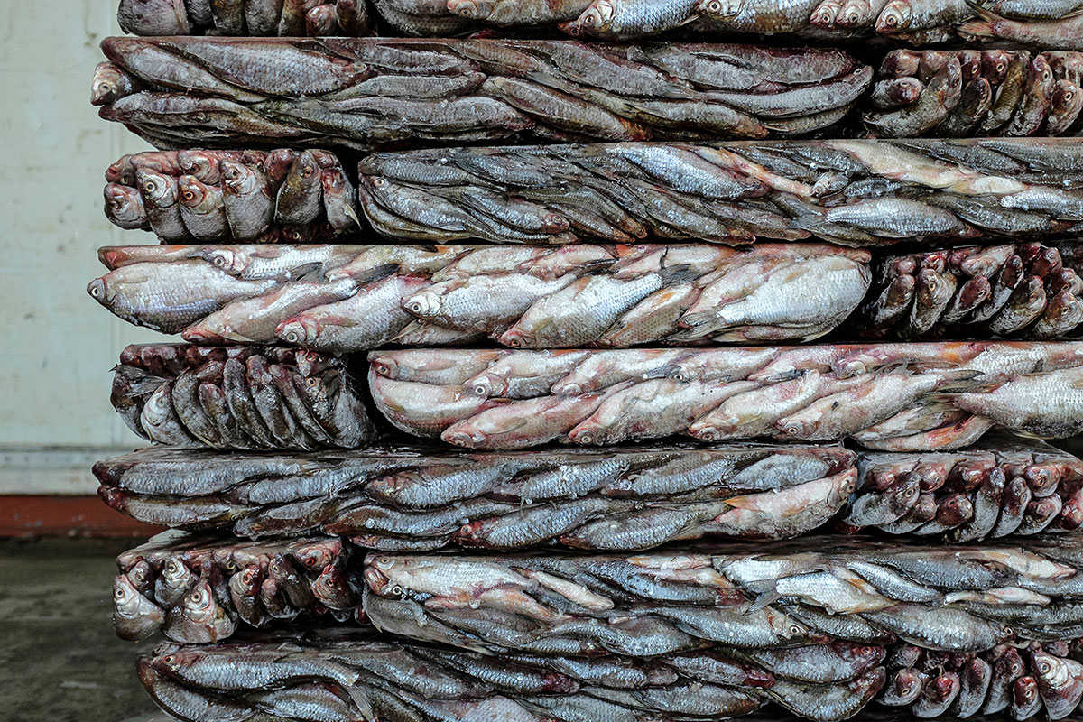 Aral sea portfolio/Please Do Not Use